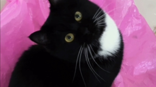 什么叫各玩各的