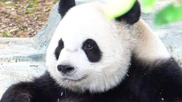 呀~是那个喝水好好看的宝宝呀