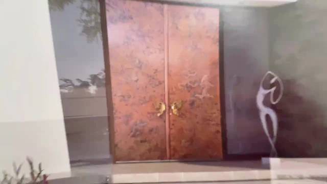 这种艺术与工艺完美结合的你们见过吗#TINNO帝诺系统入户门#别墅门#系统门#偏轴门#苏州