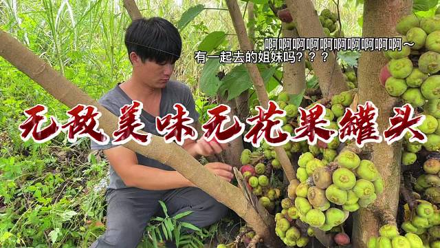 无花果罐头，酸甜可口，营养丰富，美味与健康并存