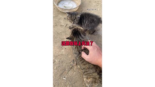 还跟我玩上兵法了