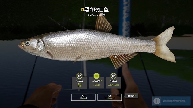 22图北顿–星黑海欧白鱼（132星）22年就想要，大开口就来，几十次下饭（11月7日库存）