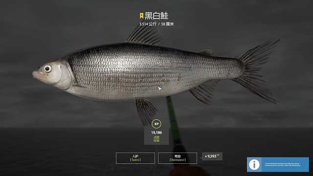 27图拉多加群岛–星黑白鲑（133星）上线8分钟，第四条鱼（11月8日库存）