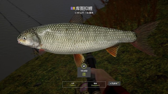 28图–星库图拟鲤（134星），最近大开口