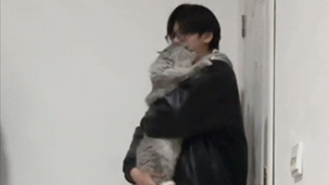 我的小猫会飞到我的怀里喔