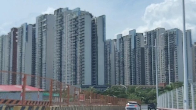 为什么老司机等红灯，方向盘都会向左打半圈#每天一个用车知识 #带你懂车知识