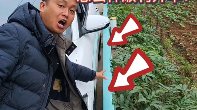 这样的靠边停车，怎么顺利开出，会不会蹭车尾？