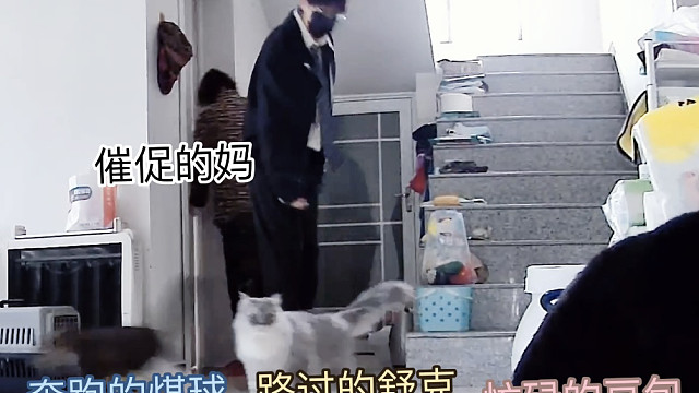 我真是服了，感情就我一个闲人