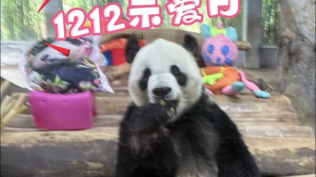 今天是12.12示爱日，贡贡舜舜在海野依然爱着你们哦~