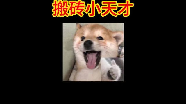 DNF搬砖小天才啊