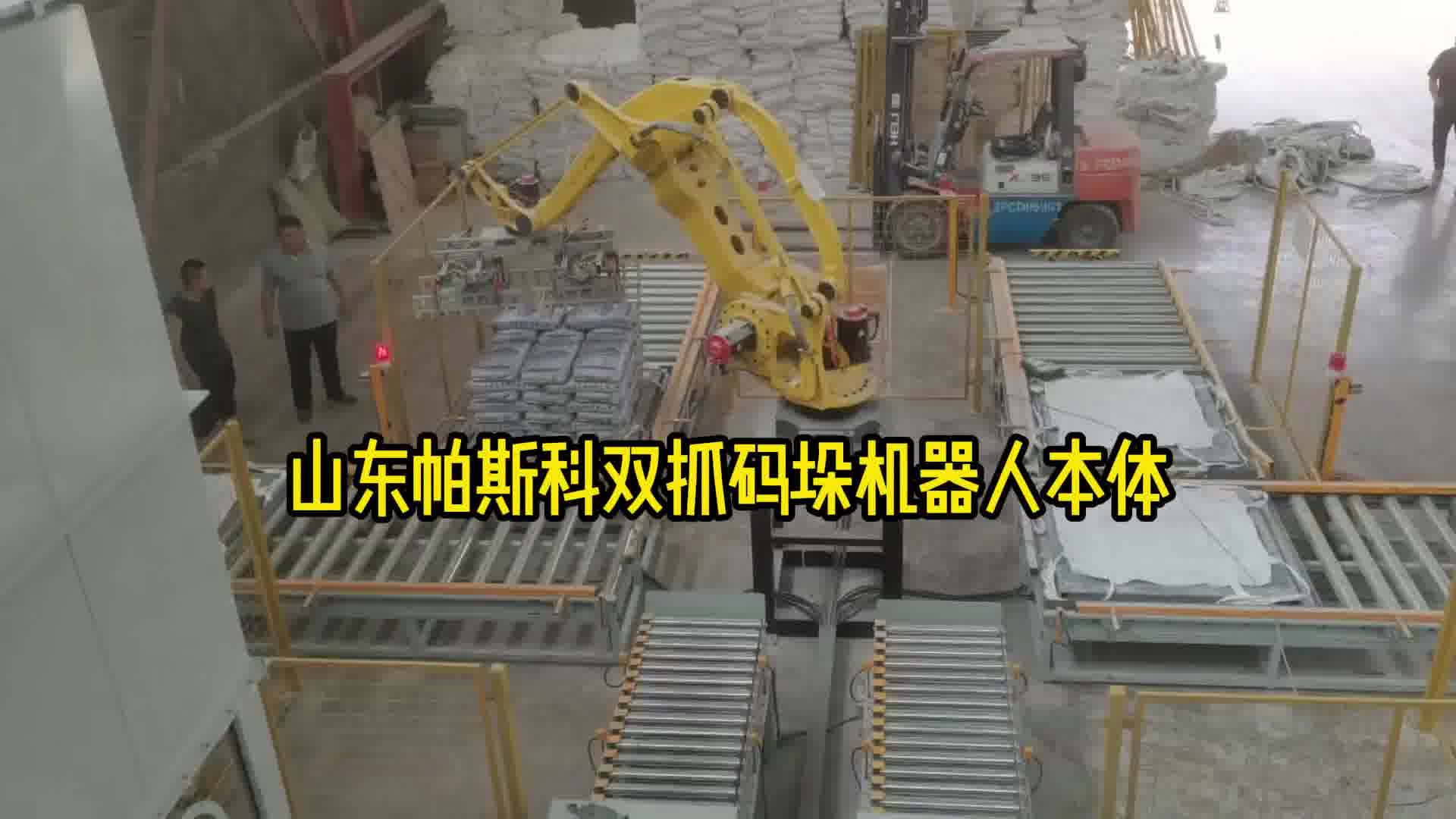 山东帕斯科双抓码垛机器人本体