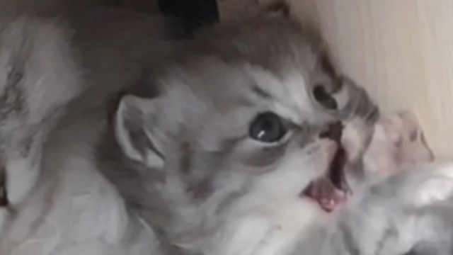 不管多大，你在我这里永远是一个小宝宝呀