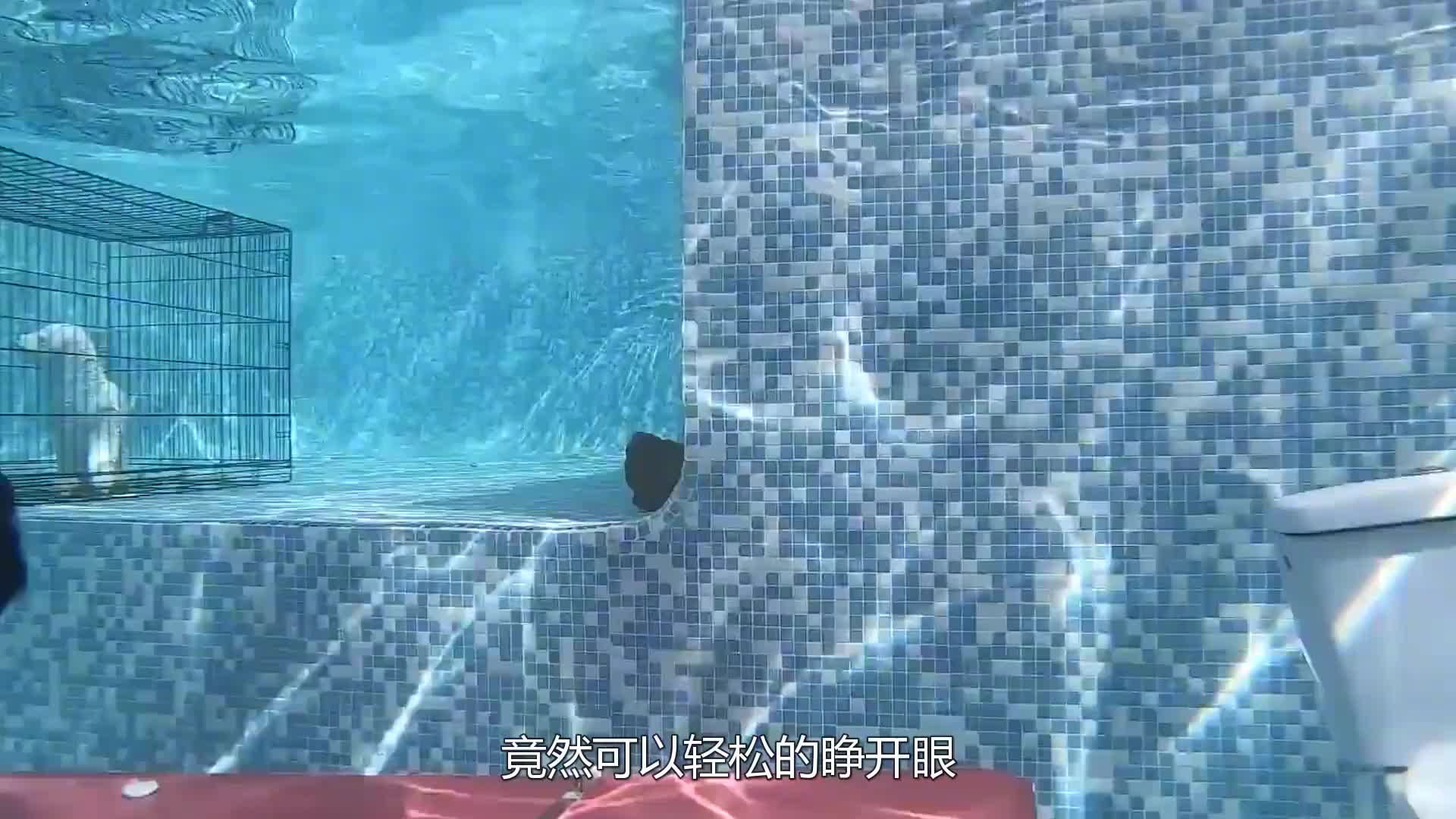 在水下吃东西是什么感觉？牛人亲身挑战，最后能成功吗？