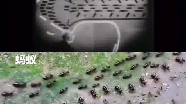 到底谁跟谁学的？