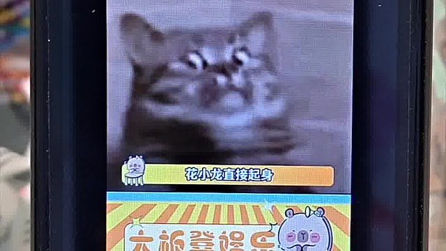 这就是e人的恐怖之处吗