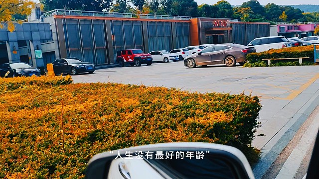 抛却繁杂，于平淡日常里，轻简而行，方悟生活真意，守得内心安宁。