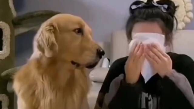 选错了职业的狗子才是最悲惨的