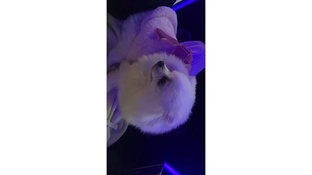 疲惫工作后的治愈者