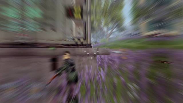 #黎明觉醒生机 #黎明觉醒 出鸡出鸡