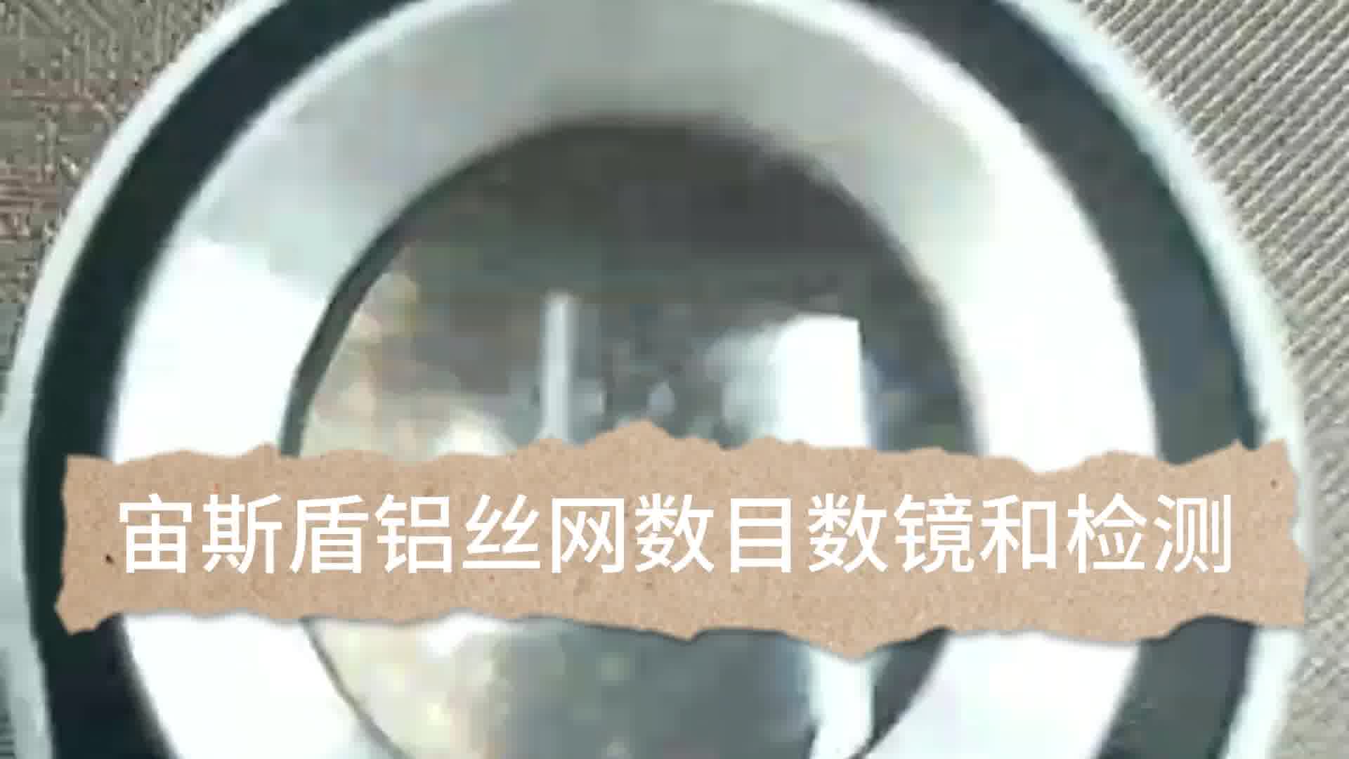 宙斯盾铝网电极支架 电解槽内衬 锂电池集流网 电解网格支撑网