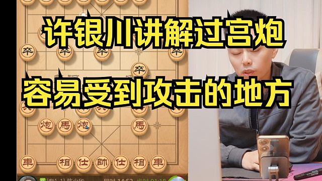 许银川讲解过宫炮的优缺点，怎么避免马被攻击