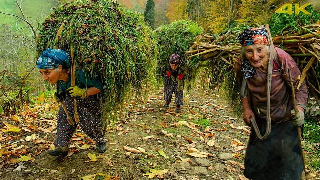 乡村纪录片，感受下不一样的农村生活