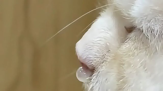 你在笑，我就要考虑生个几千块的病了啊