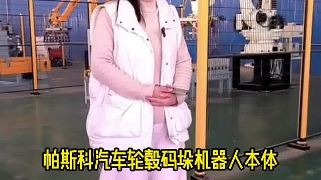 帕斯科汽车轮毂码垛机器人本体