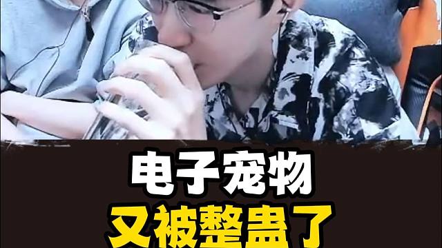 我电子宠物又被整蛊了