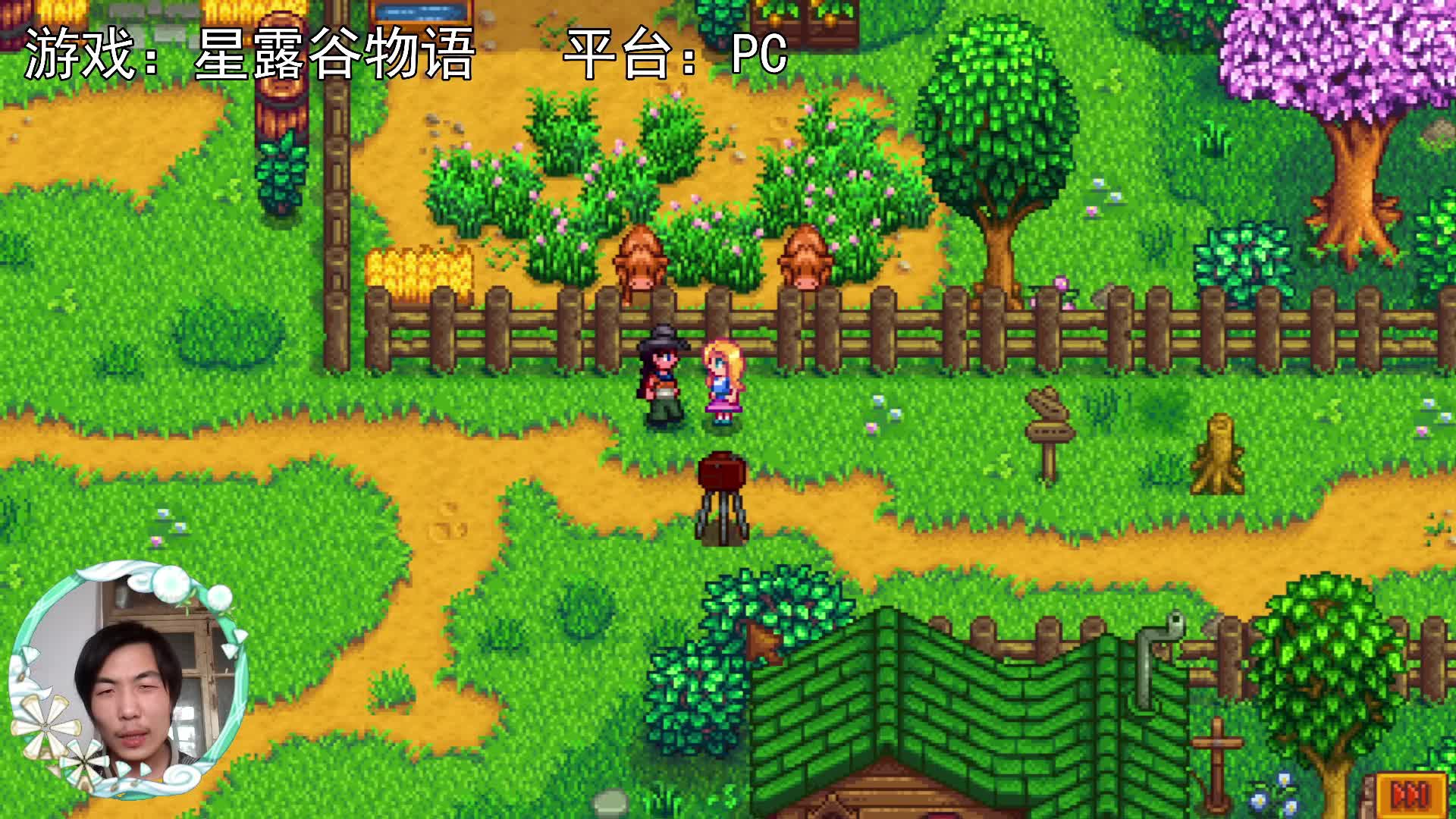 【星露谷物语】海莉农场照片4连拍！