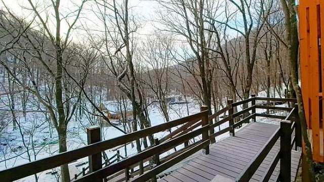 如果您是两个人或者一家三口，哈尔滨市郡王山露营基地给您提供了这样的森林木屋您喜欢么？#旅行推荐官#哈