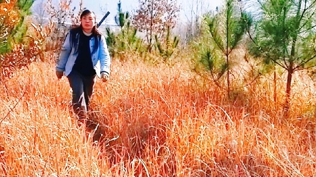 上山捡柴火，备好草绳准备大干一场，结果……