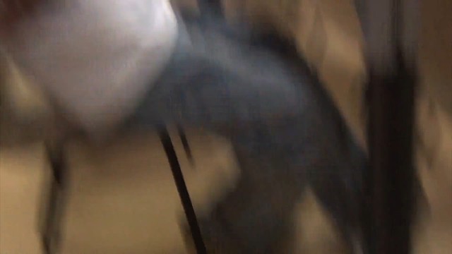 小心翼翼的喜欢你，光明正大的说着不喜欢