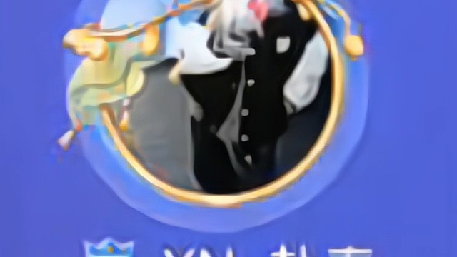 我为赴春老师打call