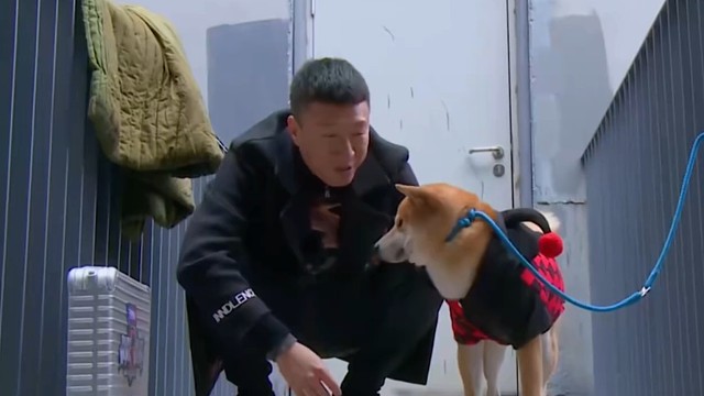 电视：极限挑战