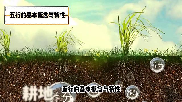 五行的基本概念与特性，土