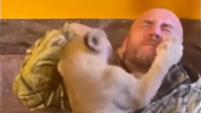 小狮子：人，我有的是力气和手段！