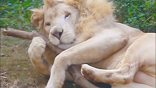 我跟棍棍是天下第一最最好~