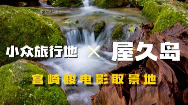 我来到了宫崎骏电影里的世界 | 屋久岛