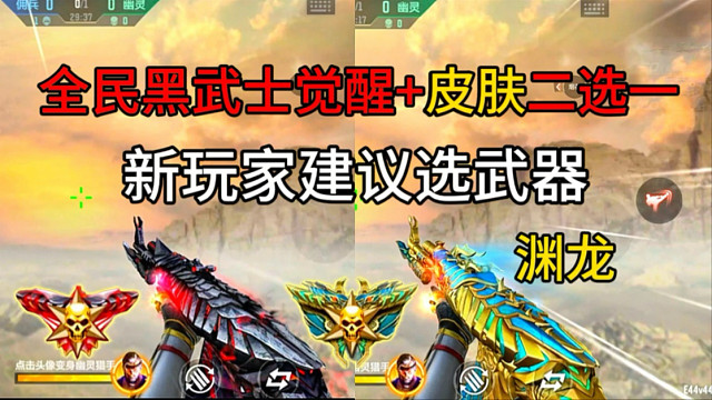 这个肯定是选黑武士的渊龙皮肤！