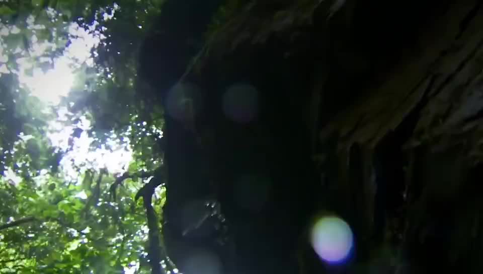 荒野求生13