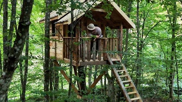 在森林庄园里，再扩建一栋温馨的树屋，日子是越来越奢华