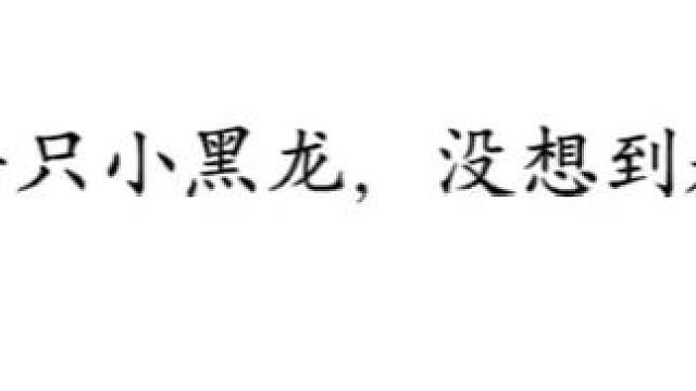 君上捡了一只小黑龙，没想到是个白切黑#配音 #广播剧 #不须辞