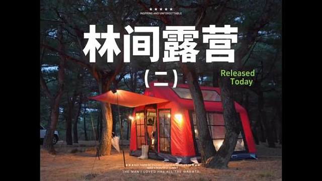 林间露营（二）#露营 #助眠 #解压 #户外露营 #冬季露营
