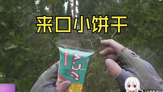 来口小饼干，舒服打着狙。。。