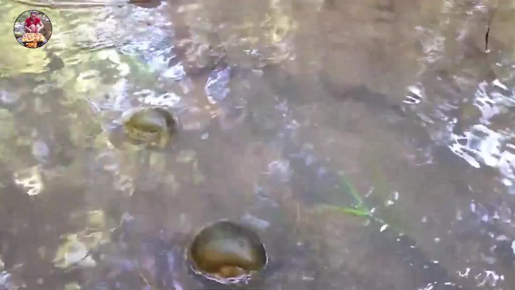 美味的章鱼辣椒混合蔬菜在森林里吃 