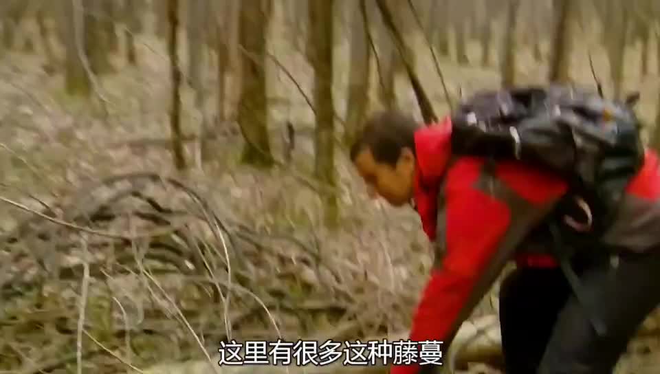 荒野求生47