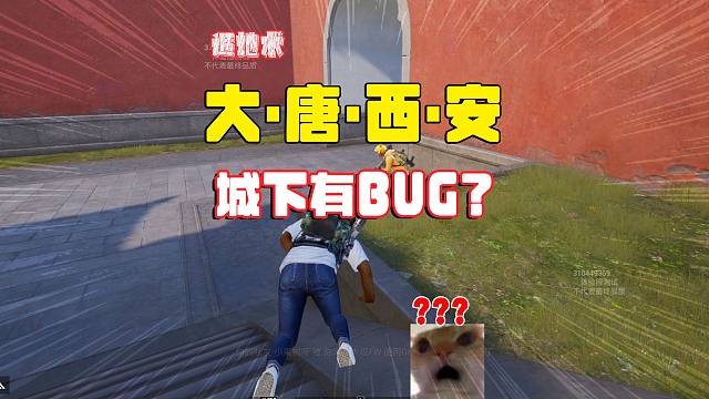 灰鹰和平精英体验服，大唐西安主城地里出来个人？