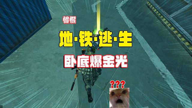 灰鹰爆笑地铁逃生，神秘打野点精致蜜獾，老板爆出蝴蝶刀？