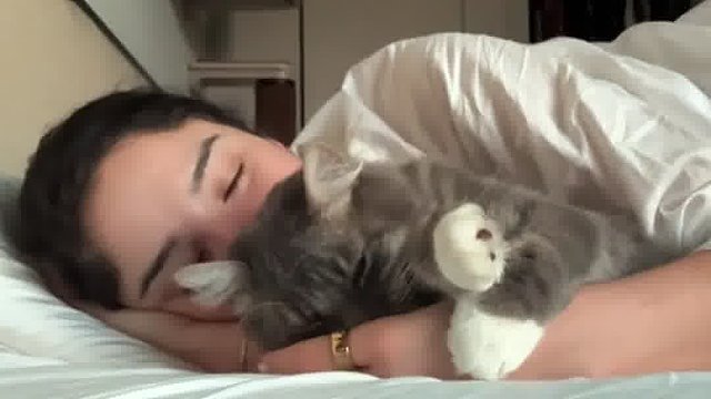 养猫吧，这是一场双向奔赴的深情